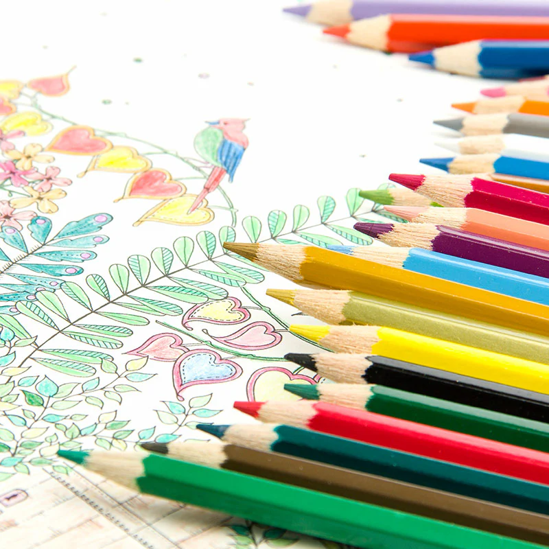 Faber Castell 12 Classic Colour Pencils - Bild 3