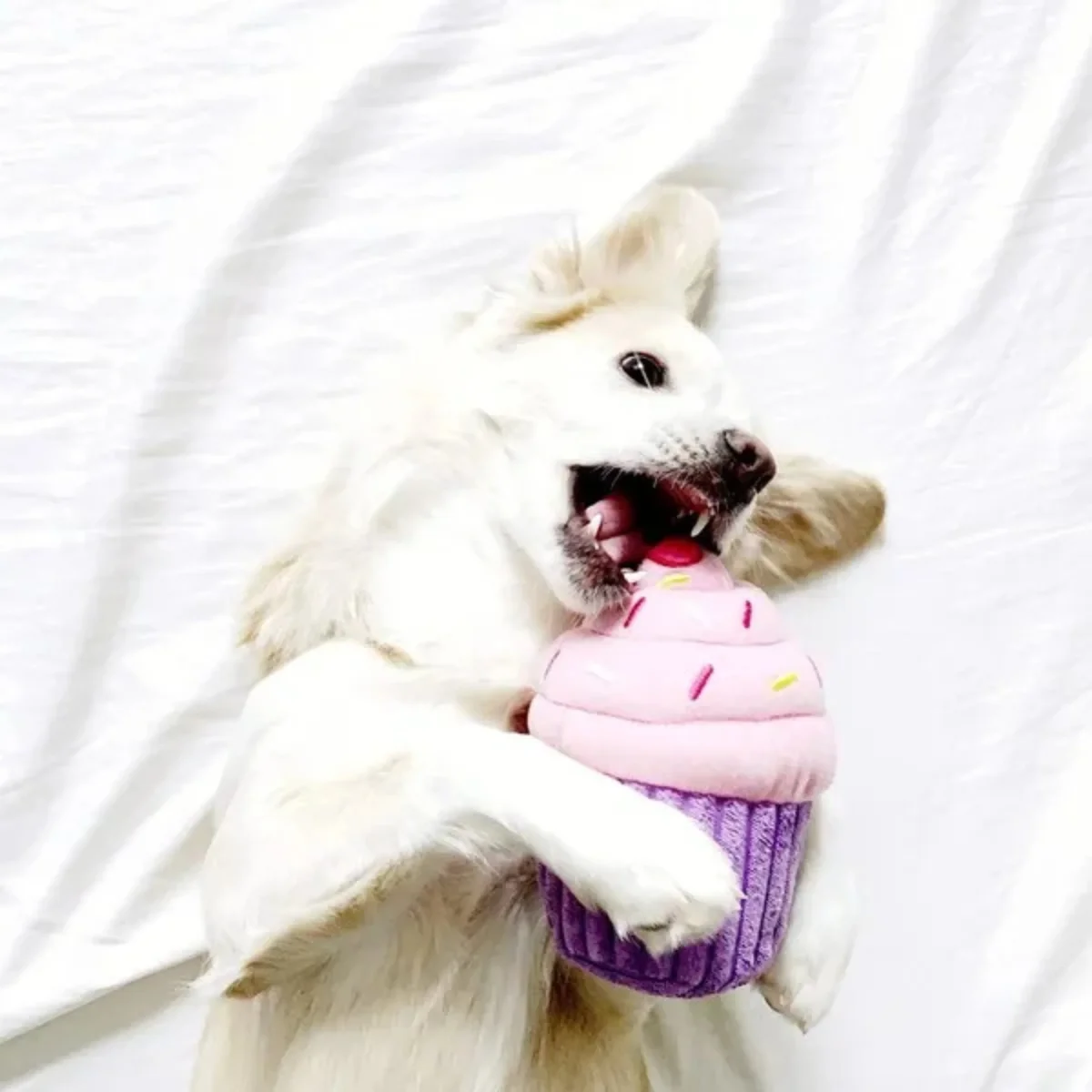 ZippyPaws Cupcake Plush Dog Toy - Bild 3