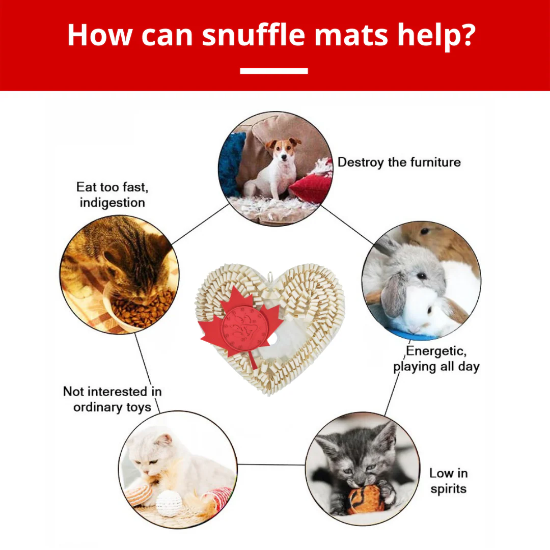 Boundless Love™ AntiBite DIY Snuffle Mat - Bild 4