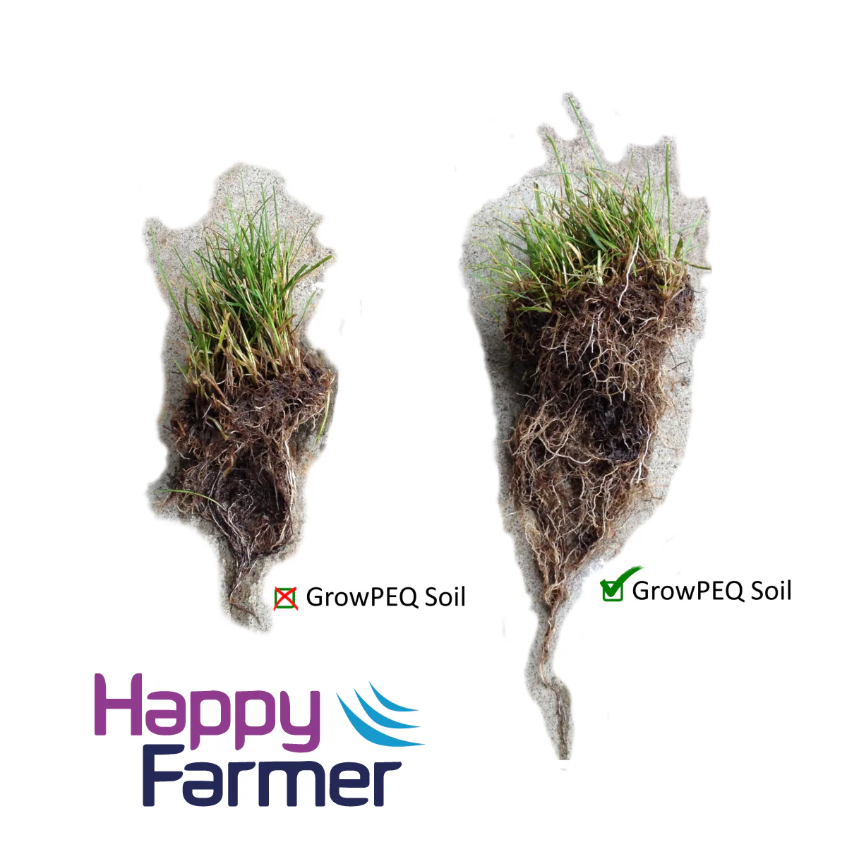 GrowPEQ Soil: healthy soil life for maximum roughage production - Bild 3