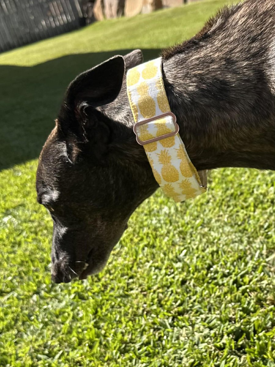 Martingale Greyhound Collar, Wide Adjustable Dog Collar 1.5 Inch, 2 Inch - Pineapple Pop - Bild 3