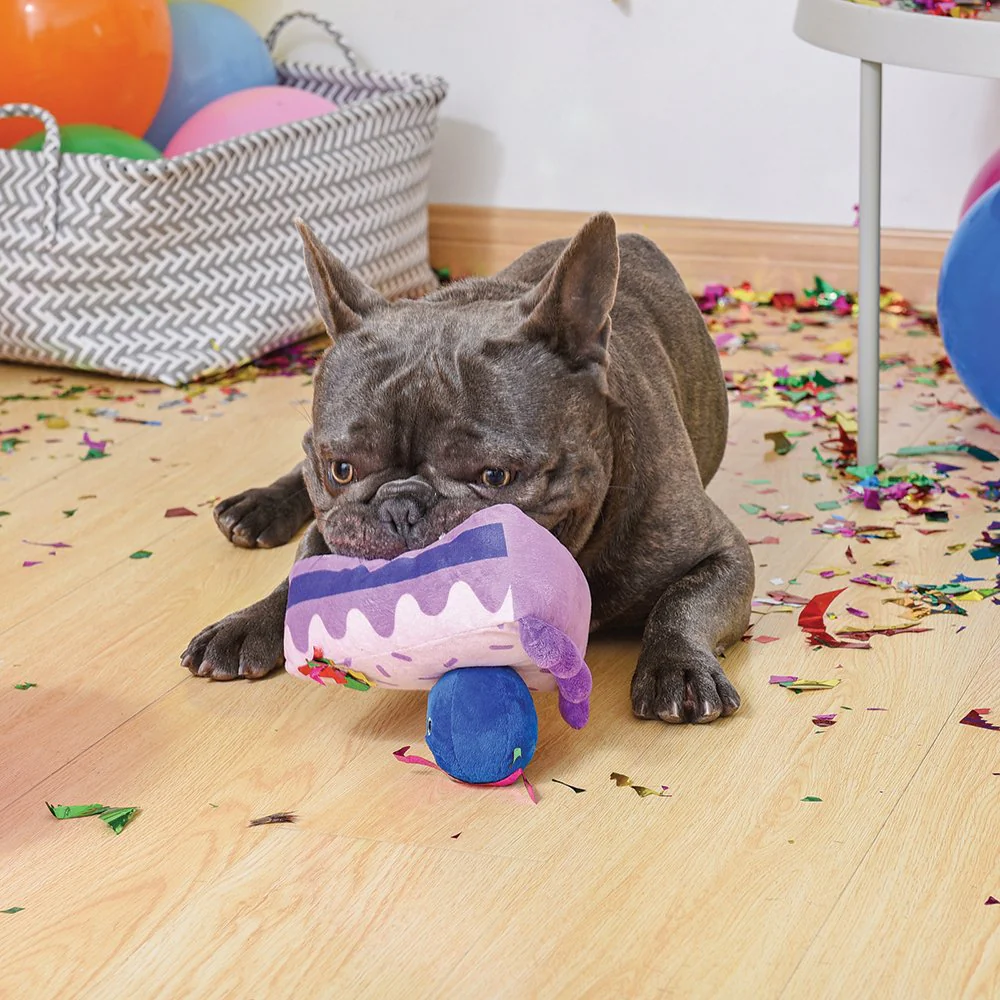HugSmart Blueberry Cake Plush Dog Toy - Bild 3