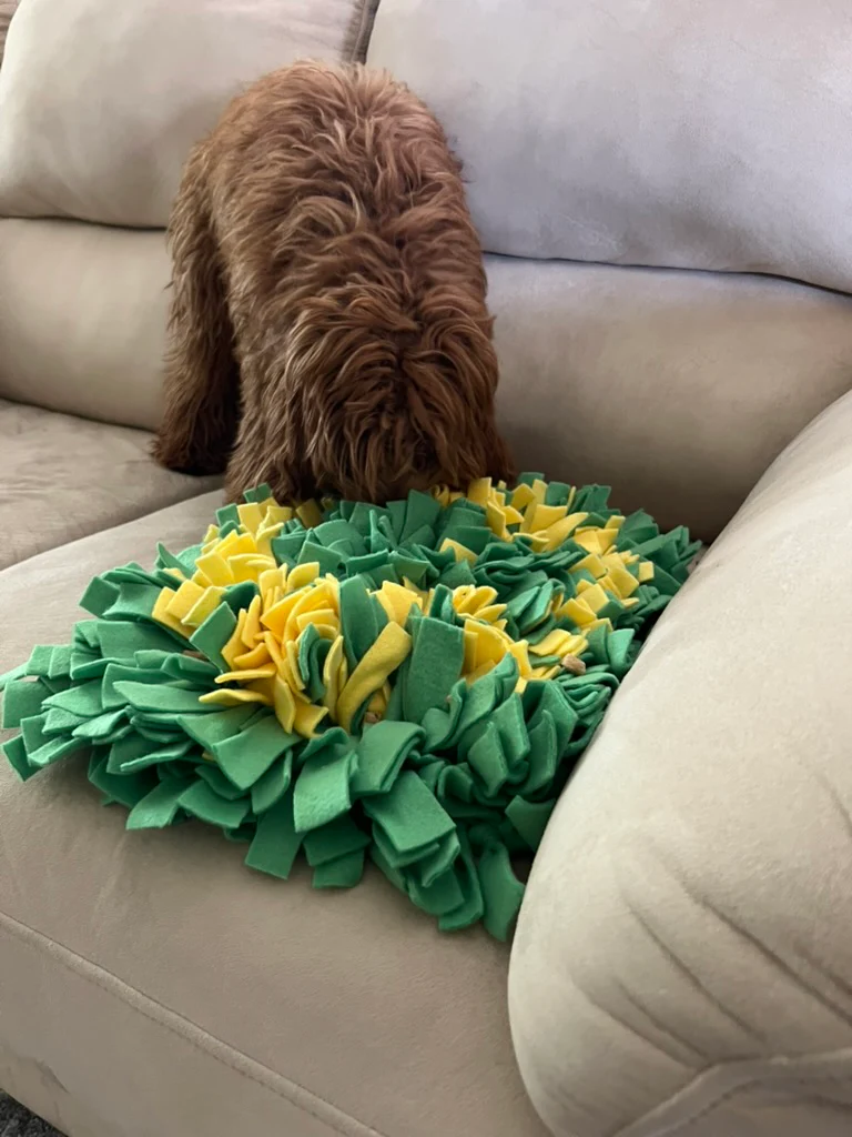 Toy - Snuffle Mat - Bild 6