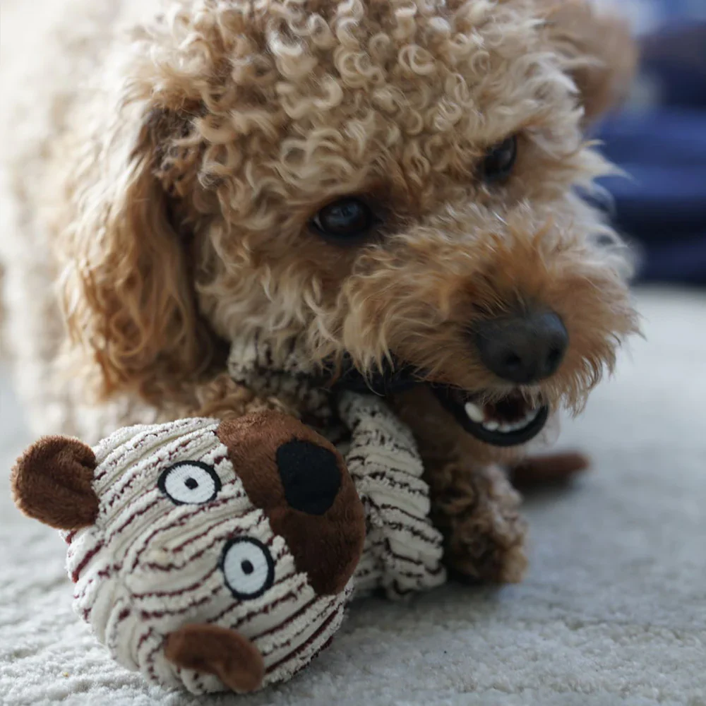 Plush Ring Animals Friends Dog Toy - Bild 4