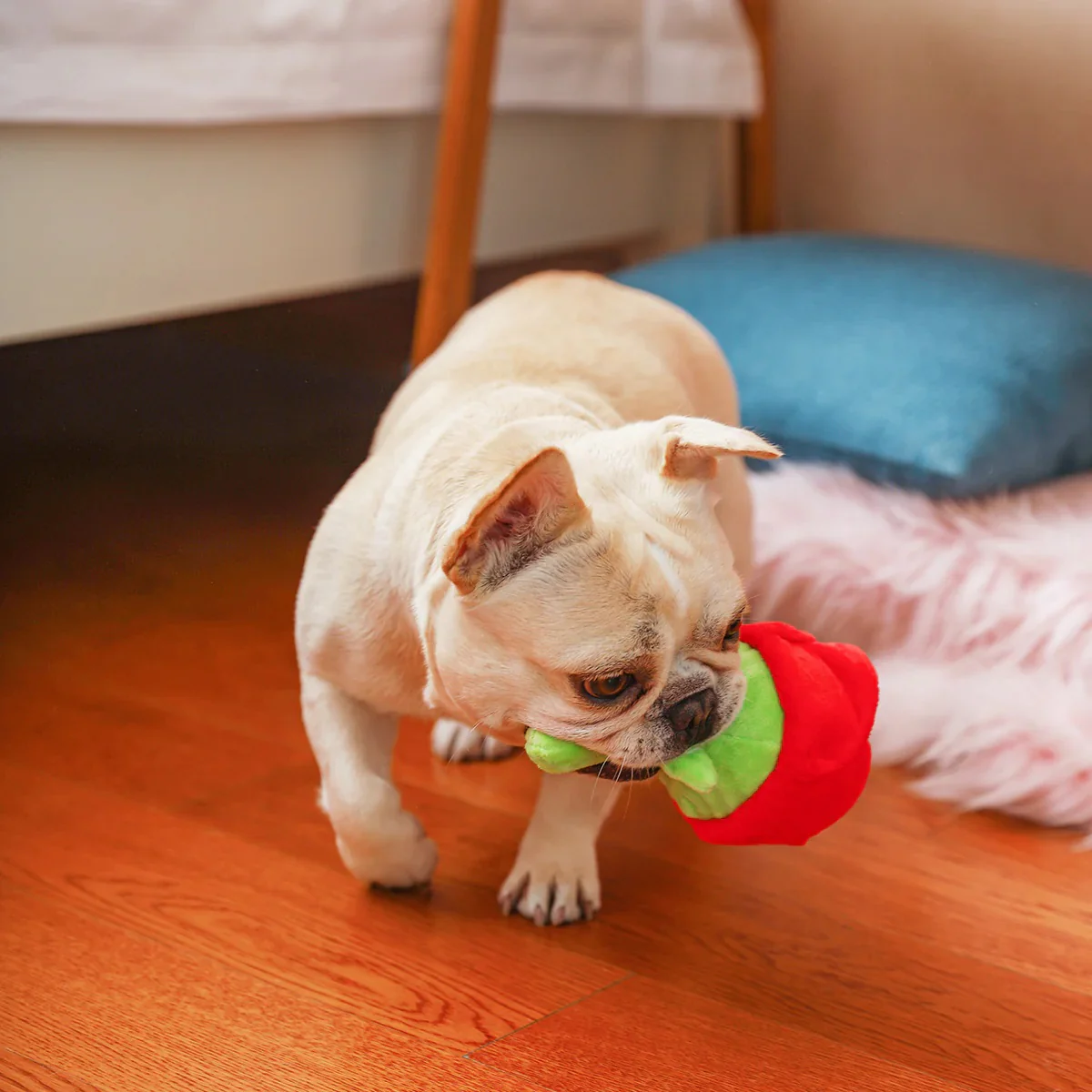 HugSmart Super Ball Rose Squeaky Plush Dog Toy - Bild 4