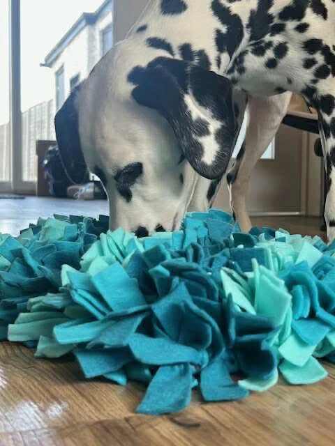 Toy - Snuffle Mat - Bild 2
