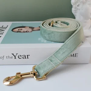 Mint Green Leash