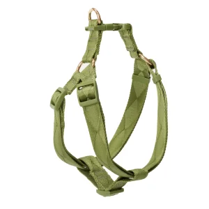 Easily Harness + Multi-Way Lead Set (Epsom)